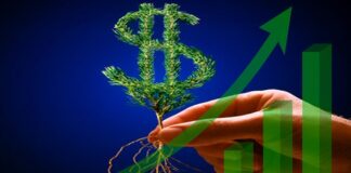 BNDES e Febraban reconhecem desemprenho de sistema de crédito cooperativo