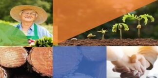 Financiamento do agro: BNDES alavanca recursos privados