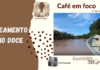 Café em foco: Mapeamento do Rio Doce e estudos comprovam recuperação