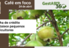 Café em foco – Linha de crédito fortalece pequenos agricultores