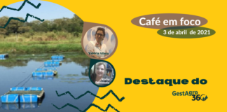 Café em foco: Na semana santa, GestAgro 360° destaca peixe