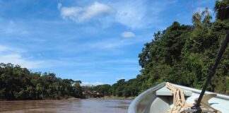 Rio Doce: mapeamento cria plataforma digital e estudos comprovam recuperação