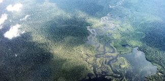 ESPECIAL – Abag passa a integrar o Observatório do Meio Ambiente do Poder Judiciário