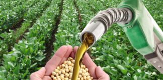 Especial – Barter com foco na sustentabilidade econômica e ambiental é novidade no mercado