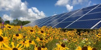 Lançados linha de crédito e consórcio para aquisição de sistemas de geração de energia renovável