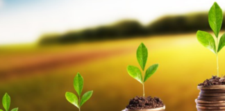 Facilitar o acesso dos produtores ao crédito é meta de novo serviço de informações