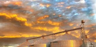 Seminário sobre armazenagem aponta soluções emergenciais para redução do déficit