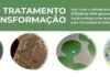 INFOGRÁFICO – Microalgas tratam vinhaça, conclui pesquisador