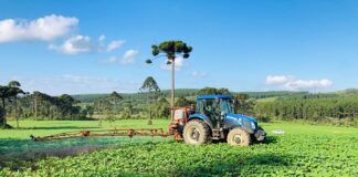 Tecnologia biológica ajuda agricultores a proteger o solo e a obter melhor produtividade