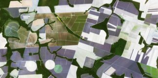 ARTIGO – A ferramenta AnalisaCAR e o incentivo à agricultura sustentável no Brasil