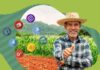 ARTIGO – Canais digitais aproximam agricultores dos consumidores finais
