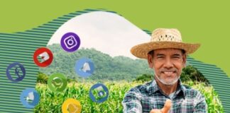 ARTIGO – Canais digitais aproximam agricultores dos consumidores finais