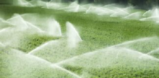 Fertirrigação: tema de seminário gratuito