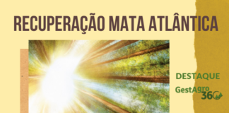 Café em foco – Plantação de mudas para restauro da Mata Atlântica foi tema de parceria