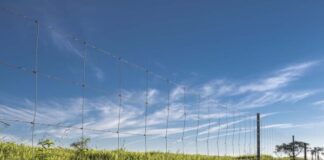 Cercas prontas: ferramenta indicada para pecuaristas que investem na integração lavoura-pecuária