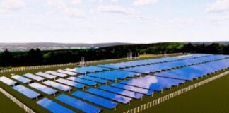 Sucesso do agronegócio leva empresa de energia solar fotovoltaica a criar área dedicada ao setor