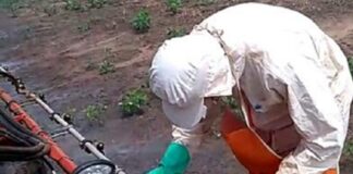 Equipamento que, em cinco segundos, verifica digitalmente vazão de cada ponteira pulverizadora muda rotina no plantio