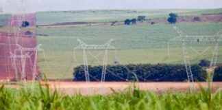 Bioeletricidade cresce 15% e contribui para a diversidade da matriz energética brasileira