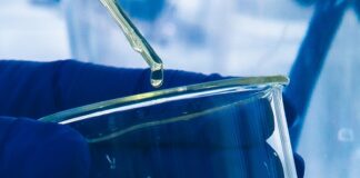 Nanotecnologia à base de lipídios amplia capacidade de penetração de nutrientes nas plantas