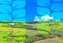 Plano Safra 2021-2022: técnicas agrícolas sustentáveis são prioridade