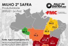 Rally da Safra estima queda na produtividade de milho segunda safra