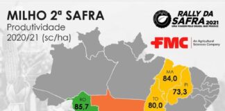 Rally da Safra estima queda na produtividade de milho segunda safra