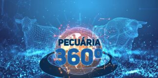 São Paulo sediará evento de negócios em pecuária em novembro