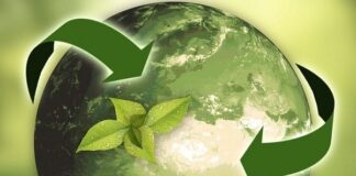 Capacitar o agricultor à produção de Créditos de Carbono Agrícola e safras certificadas: meta da Agoro Carbon Alliance