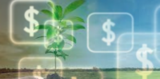 Das 300 agtechs mapeadas, 43% são direcionadas a soluções financeiras, atesta Abstartups