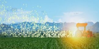 Trabalho conjunto de empresa e universidade pretende consolidar uso de IoT no agronegócio