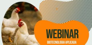 Biotecnologia aplicada à produção de aves é tema de webinar
