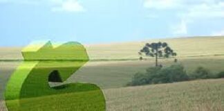 CPR – Infraestrutura digital agiliza crédito no agronegócio