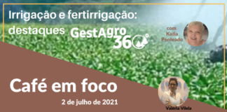 Fertirrigação para cafeicultura e benefícios da irrigação em momento de crise hídrica
