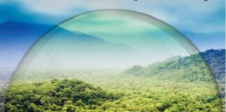 Preservação ambiental exige cooperação entre setor privado e governo, ressalta líder setorial