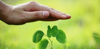 Cooperativa agrícola lança corretora de seguros