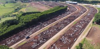 As 10 regras de ouro do confinamento, segundo fabricante de suplementos nutricionais para animais