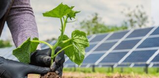 Desenvolvido modelo de financiamento para energia renovável no campo via emissão de CPR-F