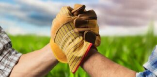 Solução financeira facilita e aumenta acesso de agricultores a crédito para insumos