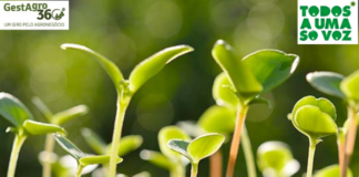 TODOS A UMA SÓ VOZ – Movimento une cadeias produtivas para conectar o agro à sociedade urbana