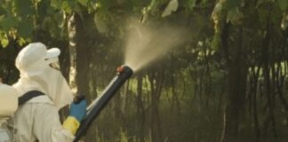Aplicação de agroquímicos é tema de acordo entre plataforma de treinamento e IAC