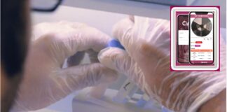 Plataforma on-line identifica mastite e conecta produtores a profissionais especialistas na qualidade do leite