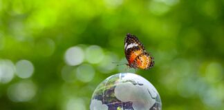 Programa ODS 2030 reforça potencial de impacto positivo do cooperativismo de crédito