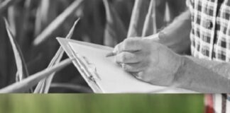 Profissionalização na gestão de propriedades agropecuárias promove especialização em empresas de ERP