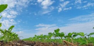 Vencedora do Prêmio Mulheres do Agro é referência na adoção de práticas sustentáveis no campo