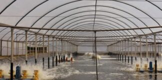 De Lá Pra Cá – O caminho da produção até o consumidor em episódios temáticos