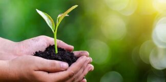 Cooperativa de crédito prevê ampliar em 26% a oferta de crédito para a safra 2021-2022