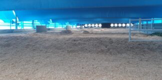 Silo Inovação Aberta é novidade da Embrapa Gado de Leite com iniciativa privada