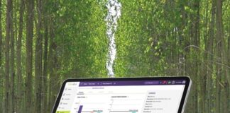 Encontro nacional discute como tornar a pecuária mais lucrativa e sustentável