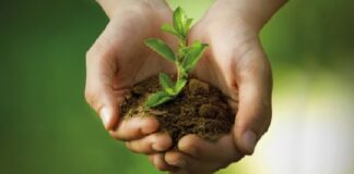 Mulheres do Agro inovam em práticas e unem sustentabilidade a bons resultados