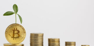 Moeda digital do agronegócio foi lançada durante Expointer 2021